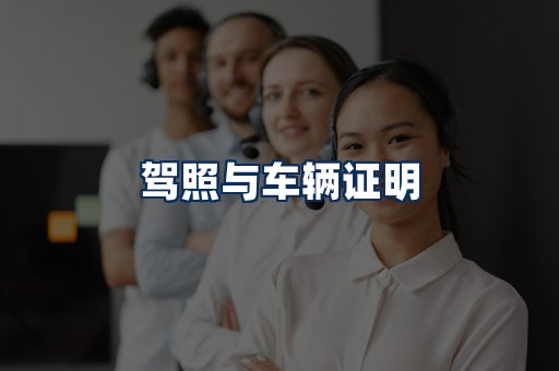 车辆证明展示